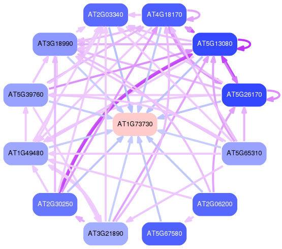 PNG image of the network