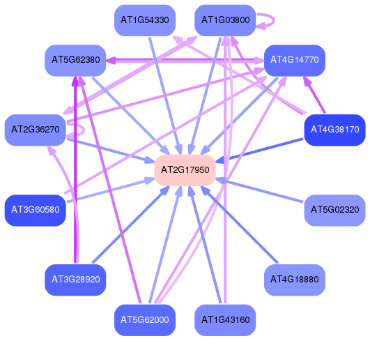 PNG image of the network