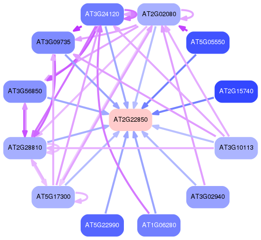 PNG image of the network