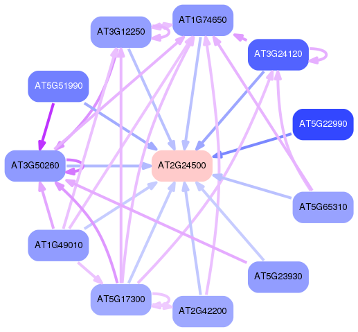 PNG image of the network