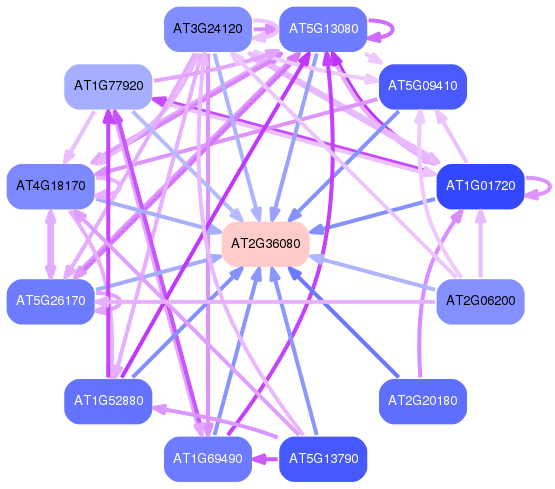 PNG image of the network