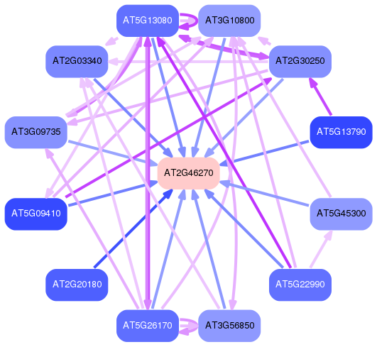 PNG image of the network