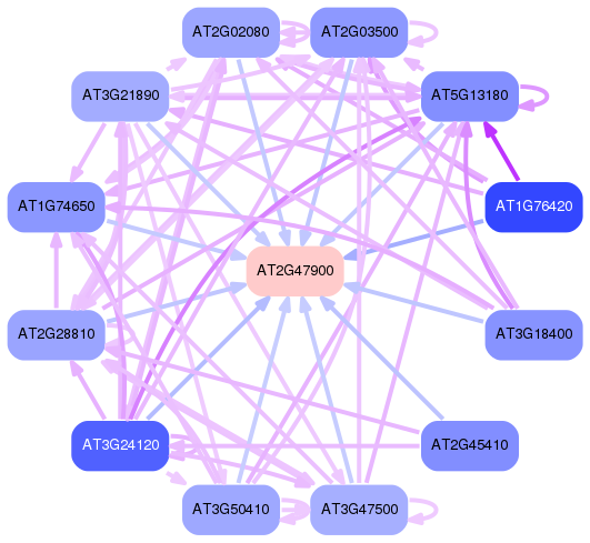 PNG image of the network