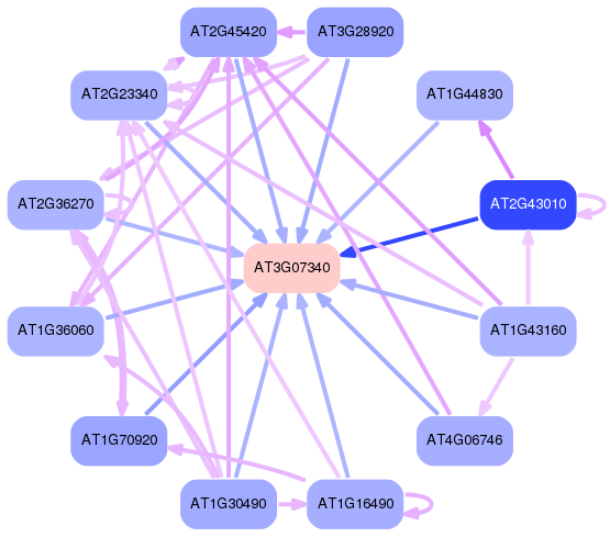 PNG image of the network