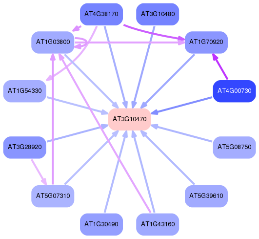 PNG image of the network