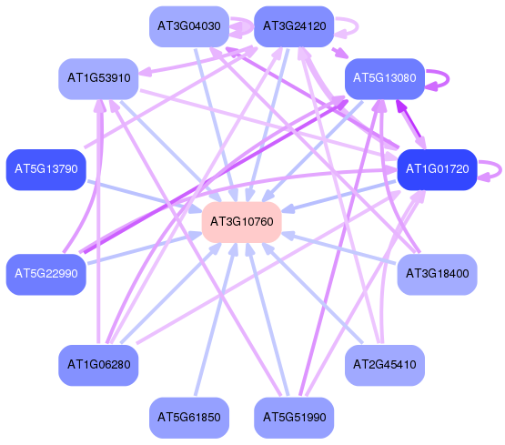 PNG image of the network