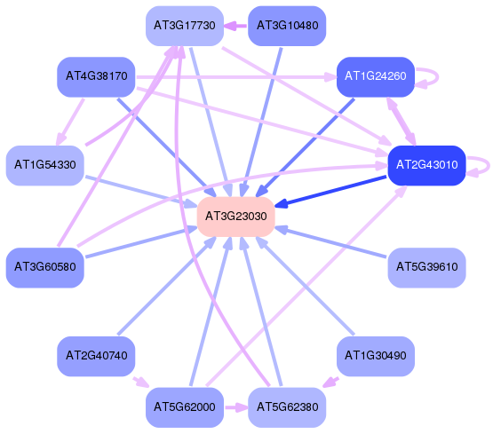 PNG image of the network