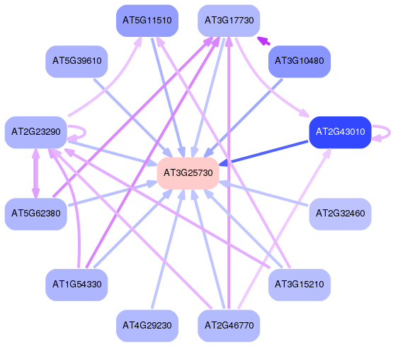 PNG image of the network