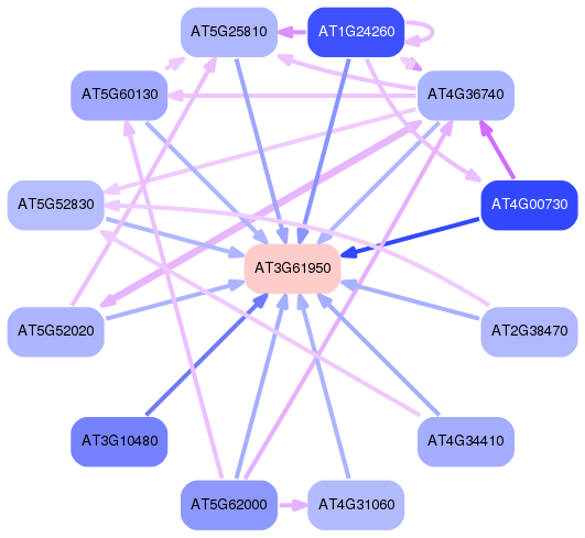 PNG image of the network