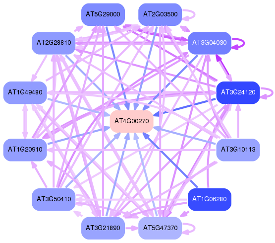 PNG image of the network