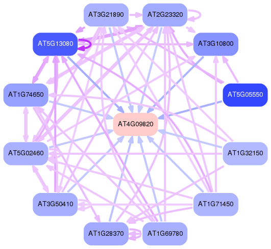 PNG image of the network