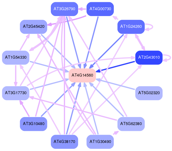 PNG image of the network