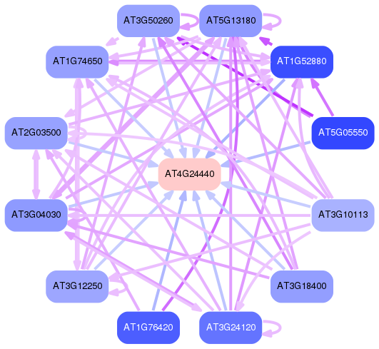 PNG image of the network