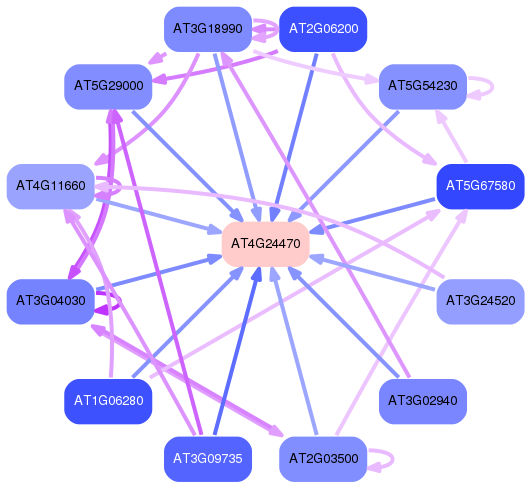 PNG image of the network