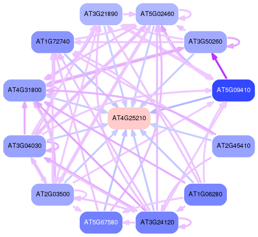 PNG image of the network
