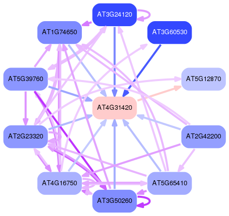 PNG image of the network