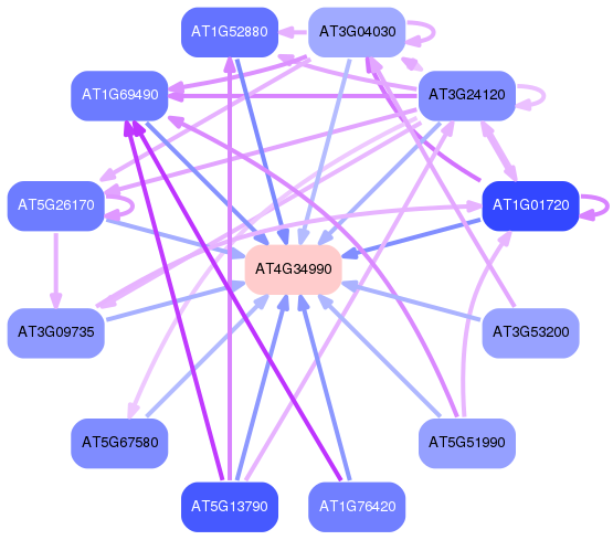 PNG image of the network