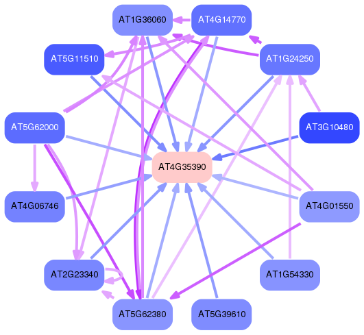 PNG image of the network