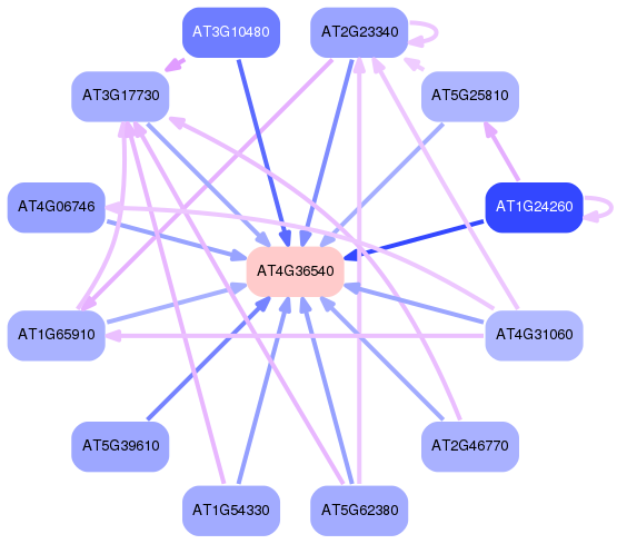 PNG image of the network
