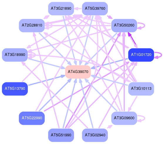 PNG image of the network