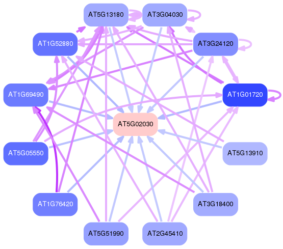 PNG image of the network
