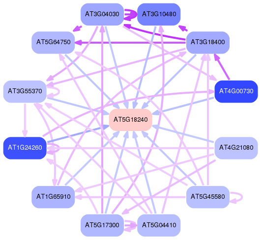 PNG image of the network