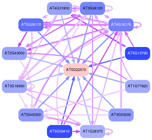 PNG image of the network