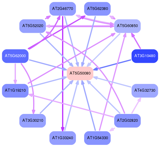 PNG image of the network