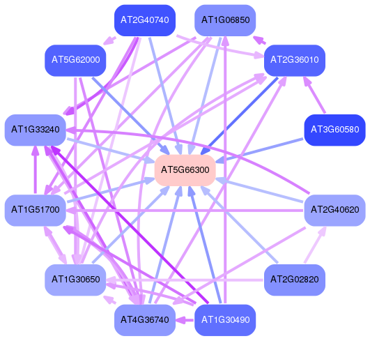 PNG image of the network