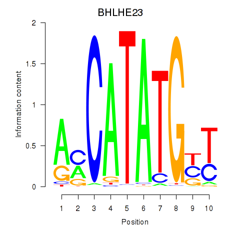 logo of BHLHE23