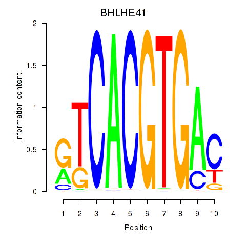 logo of BHLHE41