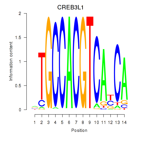 logo of CREB3L1