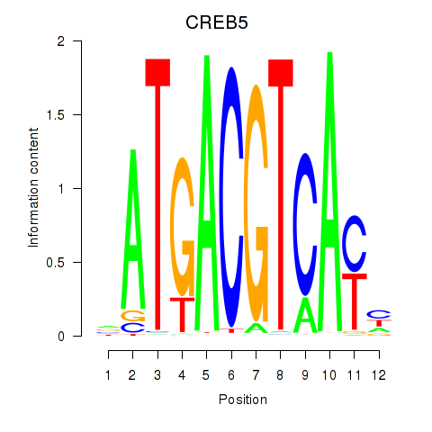 logo of CREB5