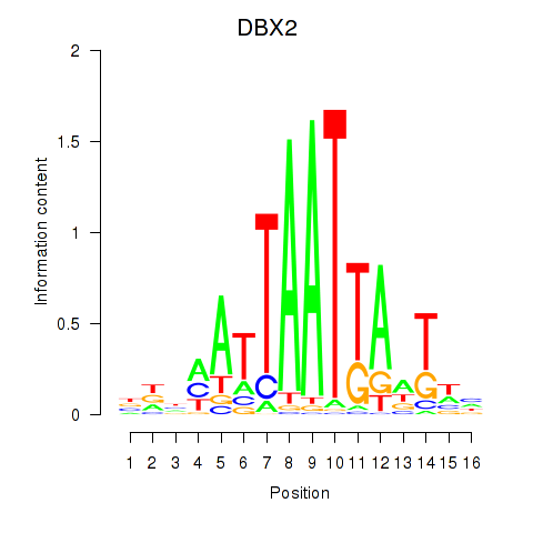 logo of DBX2