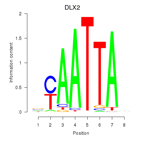 logo of DLX2