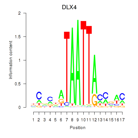 logo of DLX4