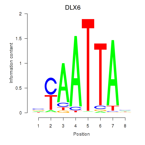 logo of DLX6