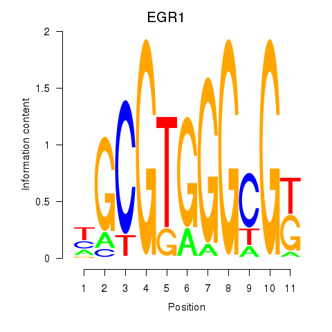 logo of EGR1