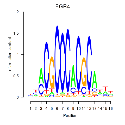 logo of EGR4