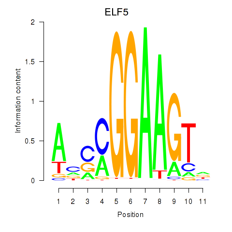 logo of ELF5