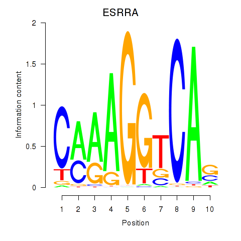 logo of ESRRA