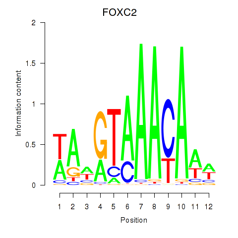 logo of FOXC2