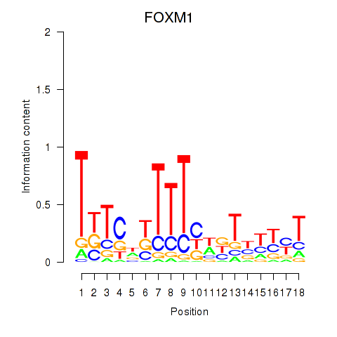logo of FOXM1