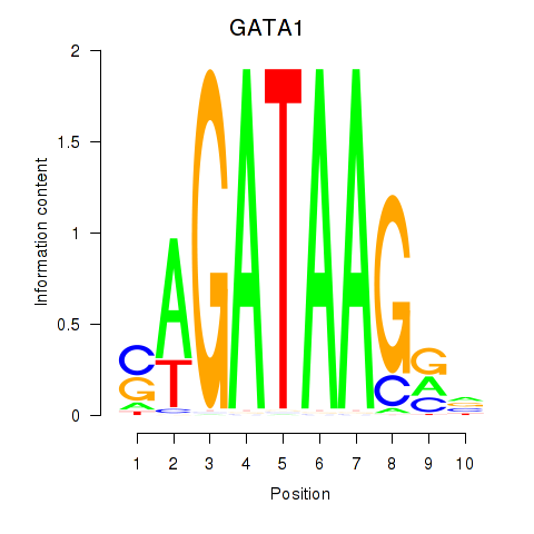 logo of GATA1