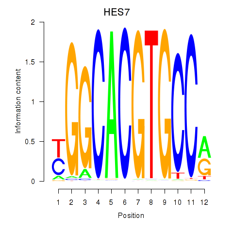 logo of HES7