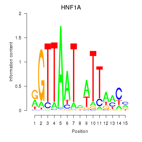 logo of HNF1A