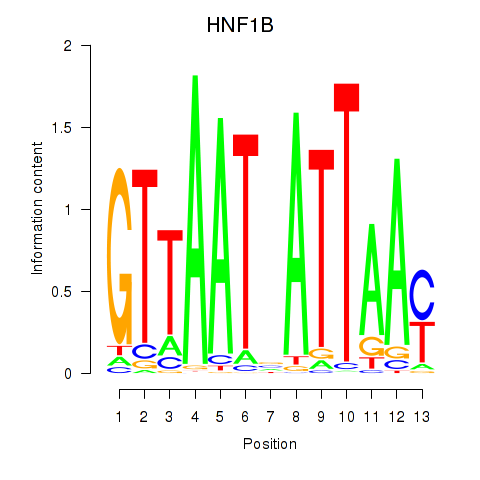 logo of HNF1B