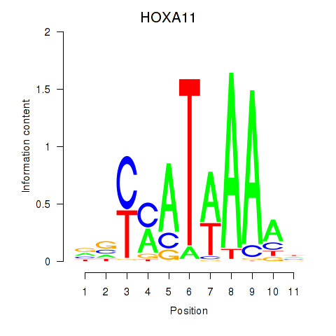 logo of HOXA11