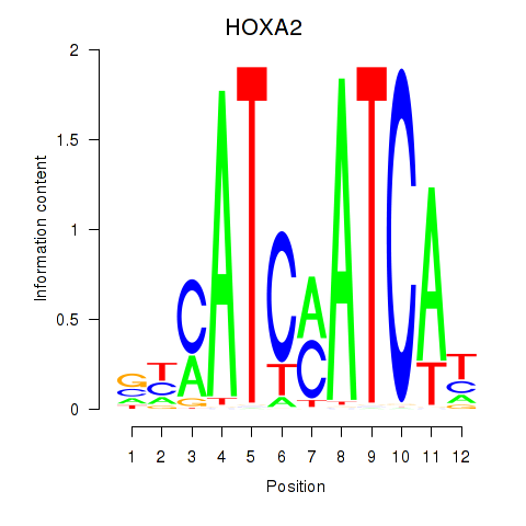 logo of HOXA2