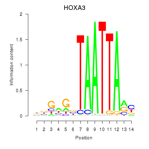 logo of HOXA3